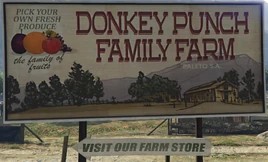 Donkey Punch Family Farm